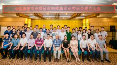 推拿专业委员会